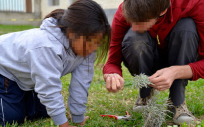 Mato Grosso Episode 3: educating through experience and empathy